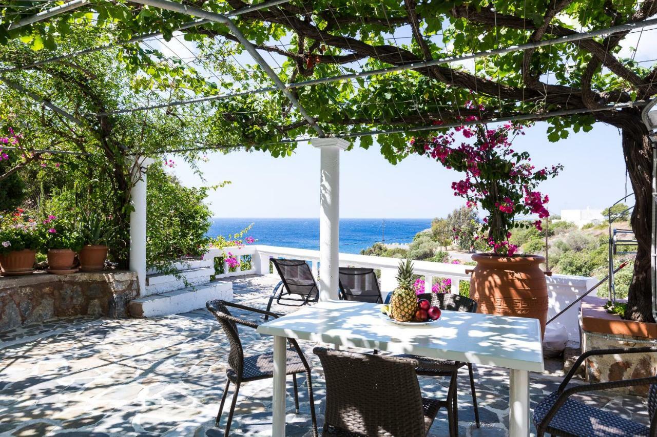 Fotinari Mare Villa プラキアス エクステリア 写真
